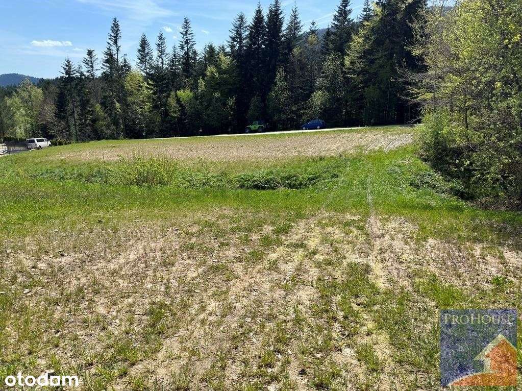 Działka, 4 100 m², Roztoka - Pełny obrazek: 4/9