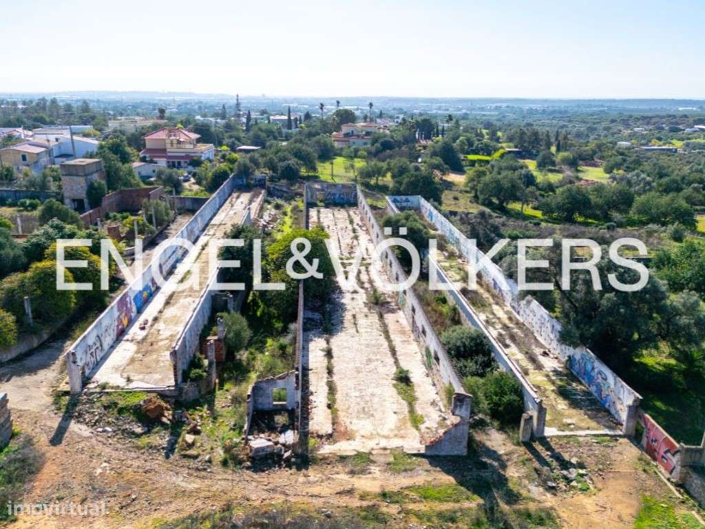 Oportunidade de investimento em Santa Bárbara de Nexe - 5.500m2 de ... - Grande imagem: 3/8