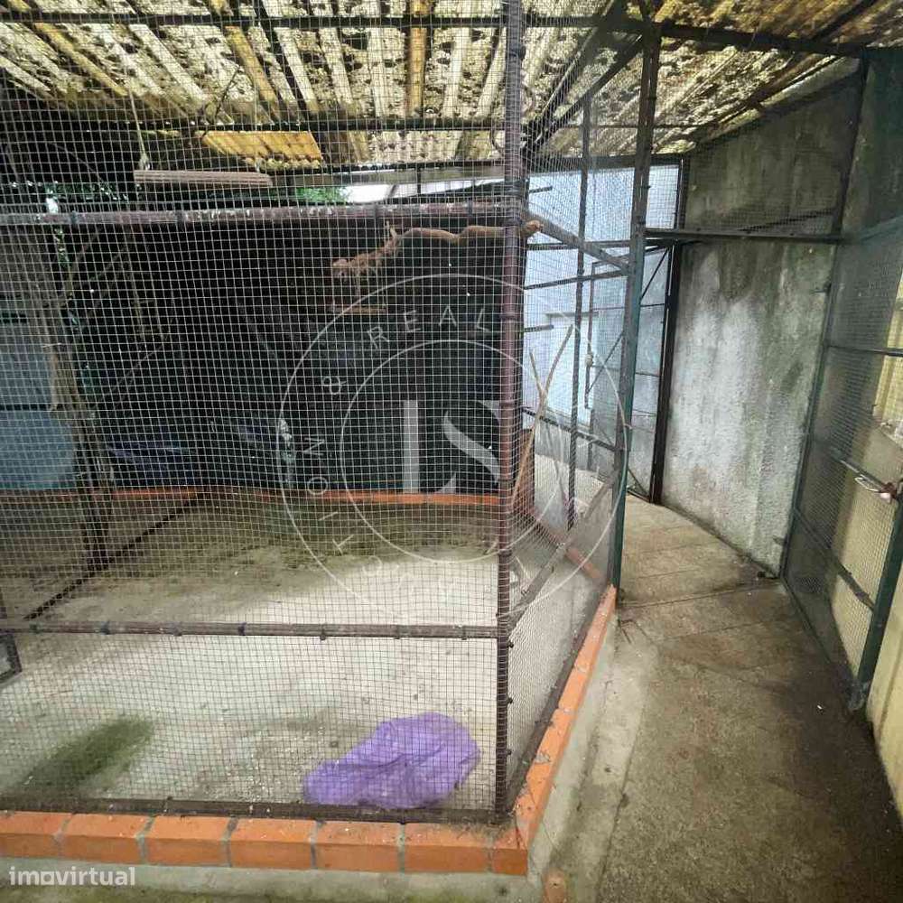 2 Apartamentos + Garagem com Logradouro | Vale de Cambra-7