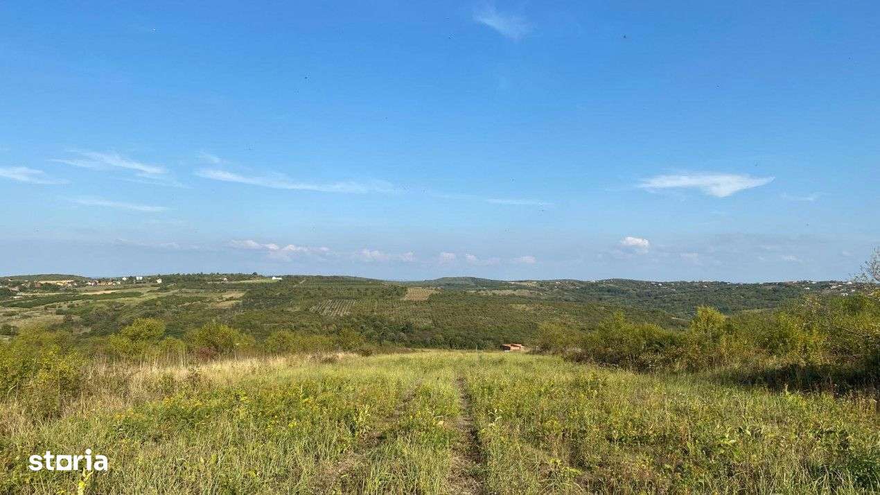 Teren intravilan, Saldabagiul de Munte - Imagine principală: 2/8