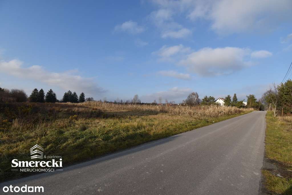 Działka budowlana 3966m2- Okszów-3km od Chełma - Pełny obrazek: 4/13