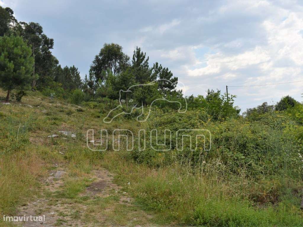Terreno em Afife - Grande imagem: 5/9