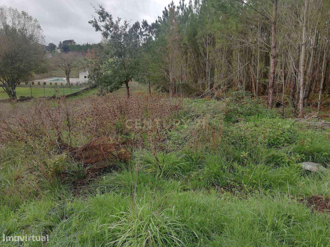 Terreno Rústico Vale Meirriço - Abrigada - Alenquer - Grande imagem: 4/11