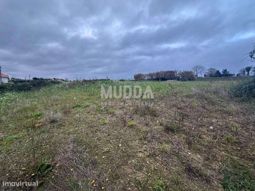 Terreno elevado com vista panorâmica desafogada, a poucos minutos d - Grande imagem: 3/7