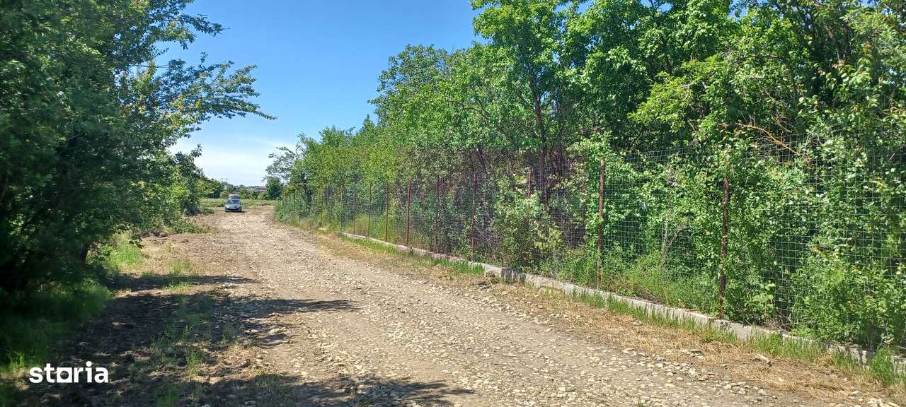 Săbăreni, lot de casă 500 mp, curent lângă teren - Imagine principală: 1/5