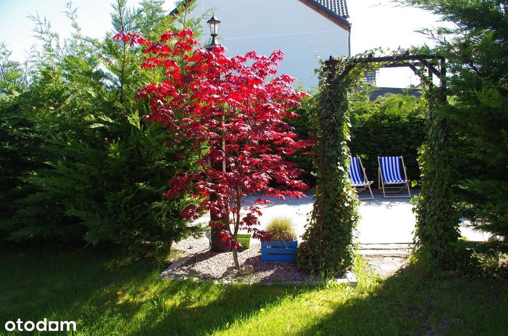 Ciekawy dom wolnostojący pod Gdańskiem - Pełny obrazek: 4/14