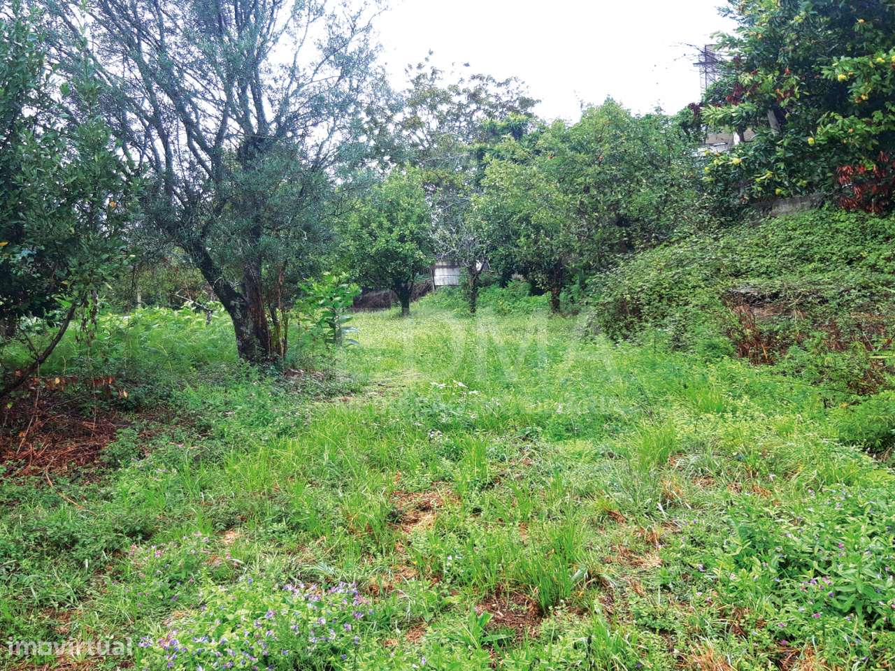 Terreno - Grande imagem: 3/9