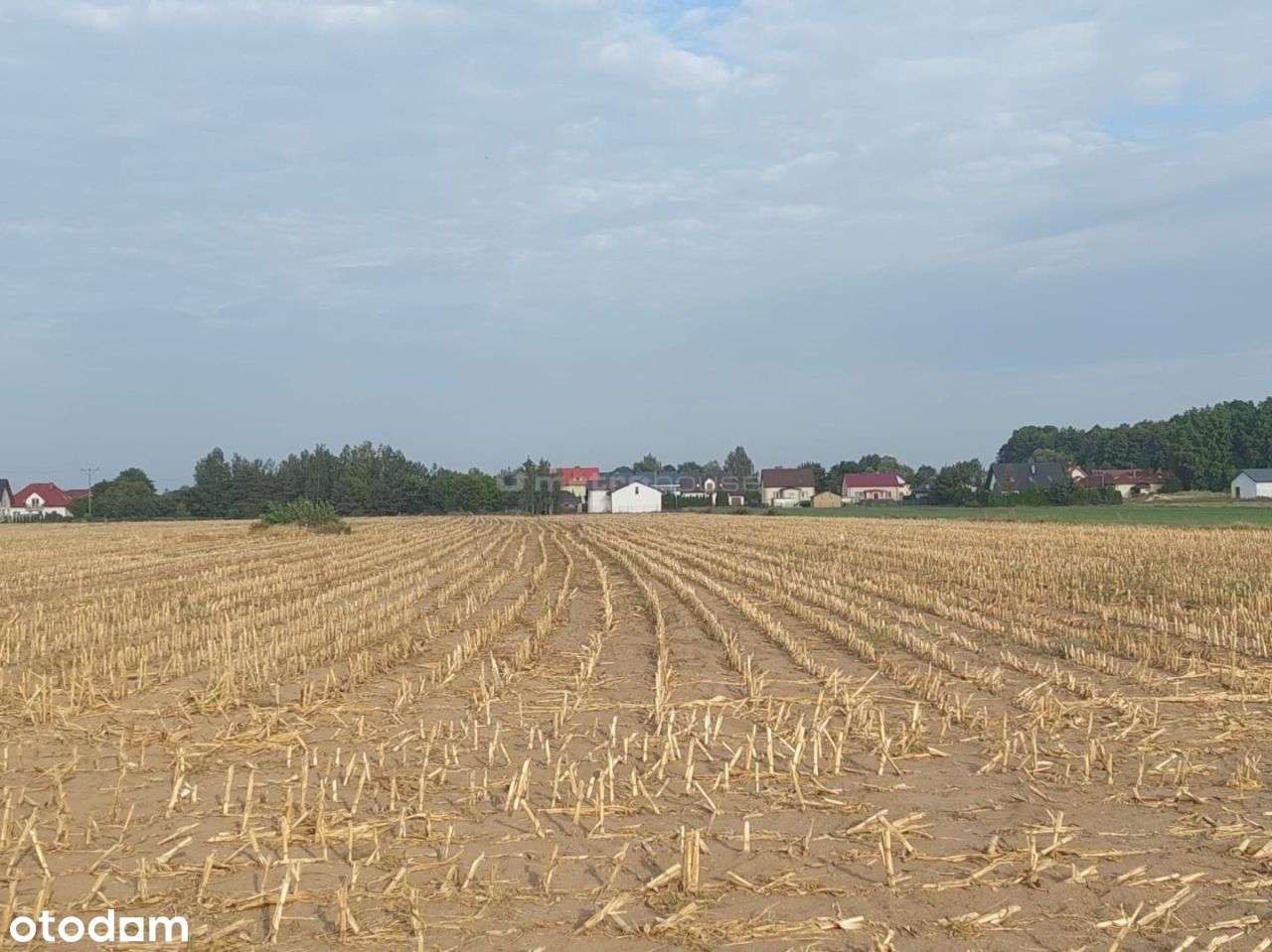 Działka w Głogowie 9322 m2 gmina Lubicz - Pełny obrazek: 4/7