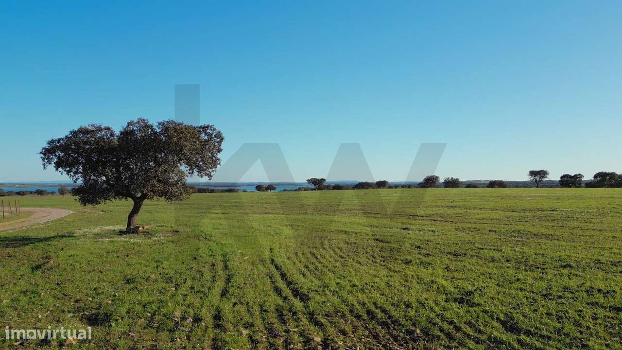 Herdade Exclusiva Junto à Barragem do Alqueva – Investimento Turístico-8