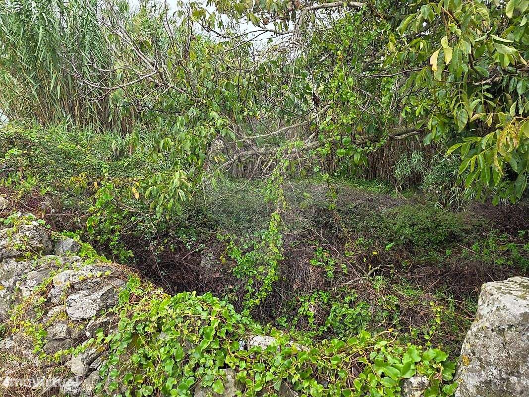 Terreno  para venda - Grande imagem: 4/9