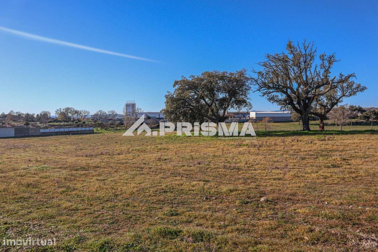 Terreno de 30.000m2 para venda em Alcains - Grande imagem: 5/21