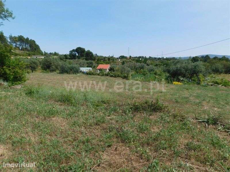 Terreno Rústico / Fundão, Pêro Viseu - Grande imagem: 3/7