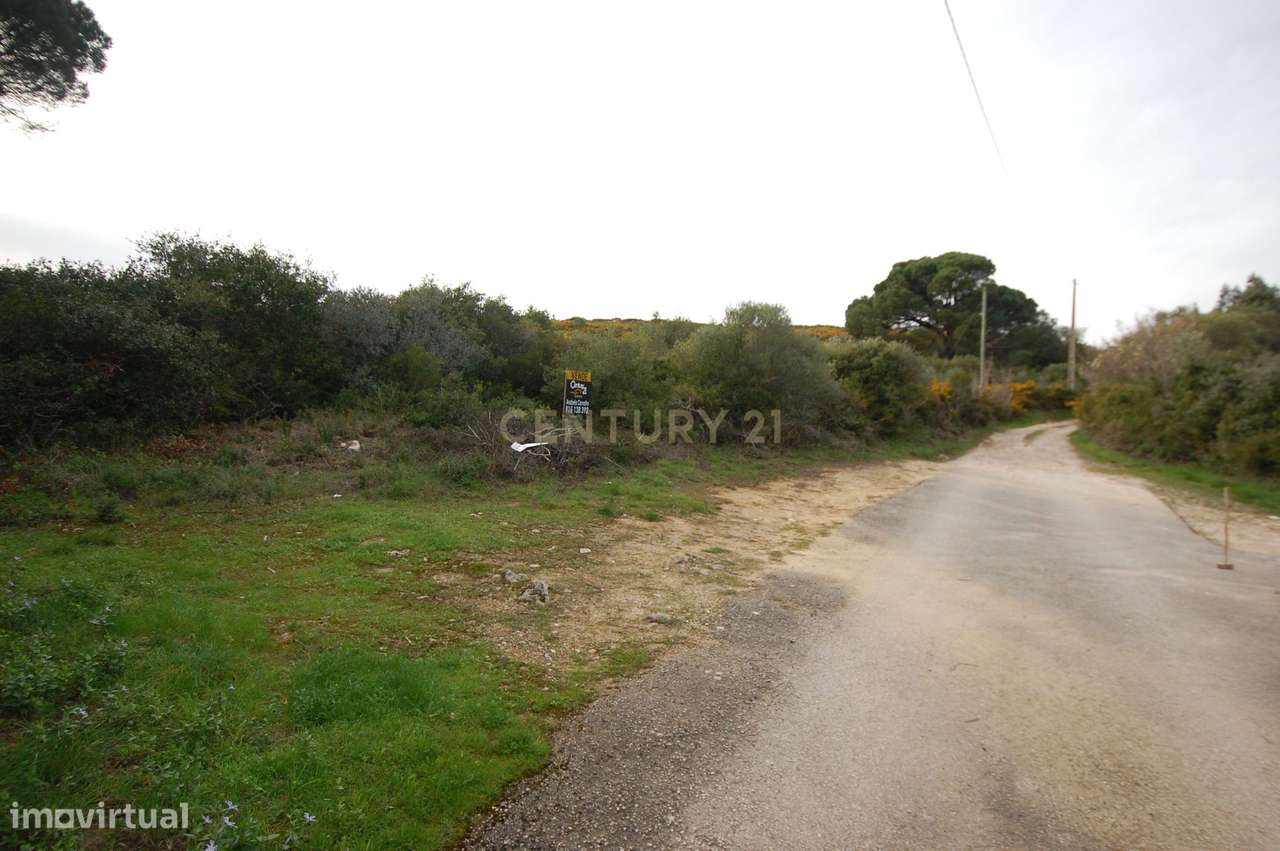 Terreno Rústico Novo em Sintra - Oportunidade Única! - Grande imagem: 4/12