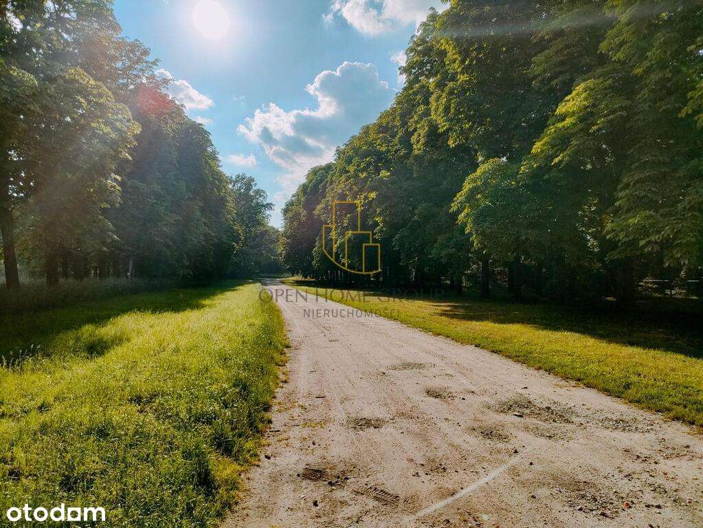 mpzp - działka budowlana / woda kanalizacja prąd - Pełny obrazek: 5/7