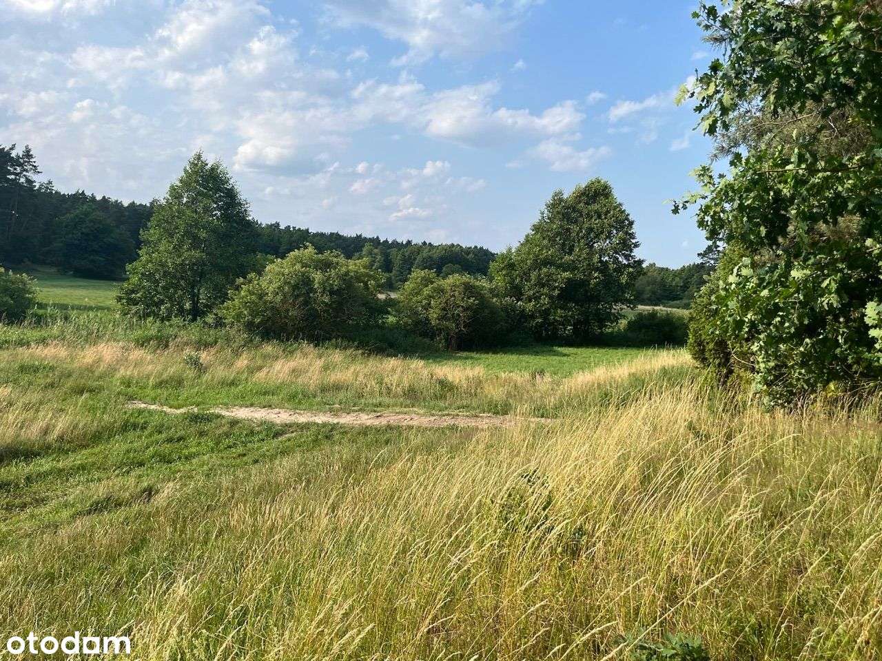 Pięknie położona działka / polana w środku lasu - Pełny obrazek: 4/5