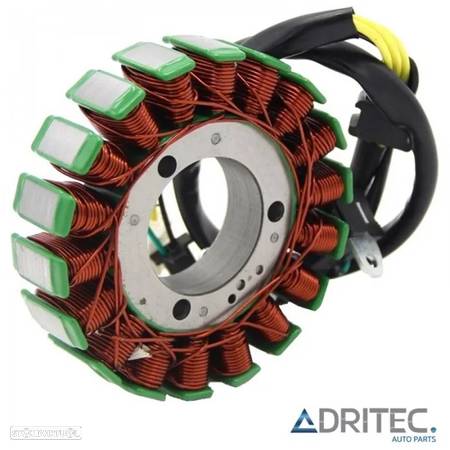 STATOR SUZUKI GSX 250 R (2013-2017) INAZUMA 250 (2014-2017) MAGNETO 250 (2014-2017) - 1