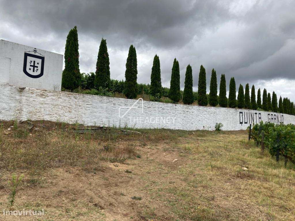 Quinta Granjó — Uma oportunidade única de investimento no coração do V - Grande imagem: 4/28