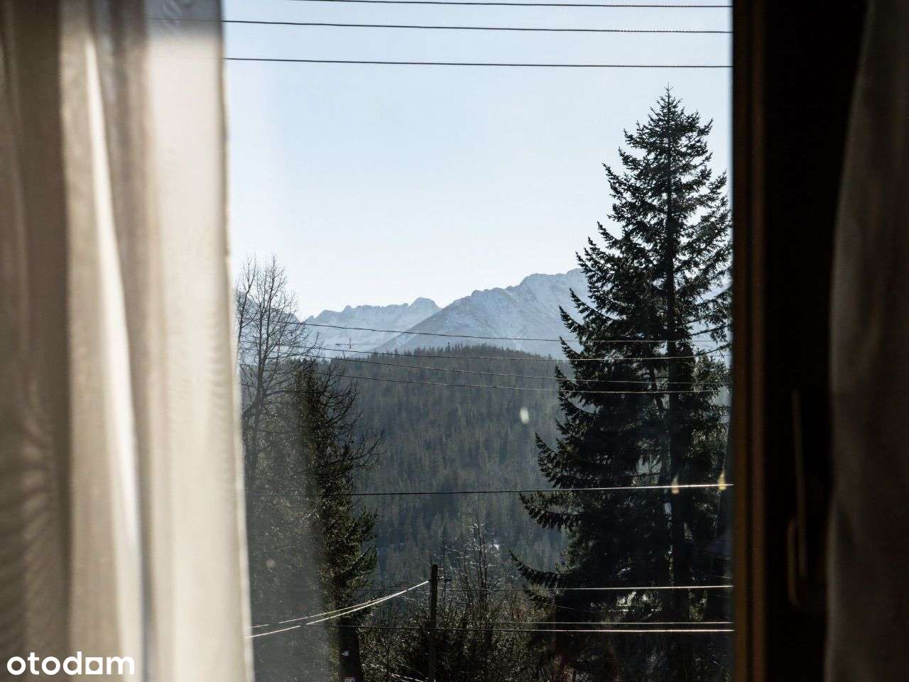 Pensjonat na sprzedaż - Gotowy Biznes w Sercu Tatr - Pełny obrazek: 4/11