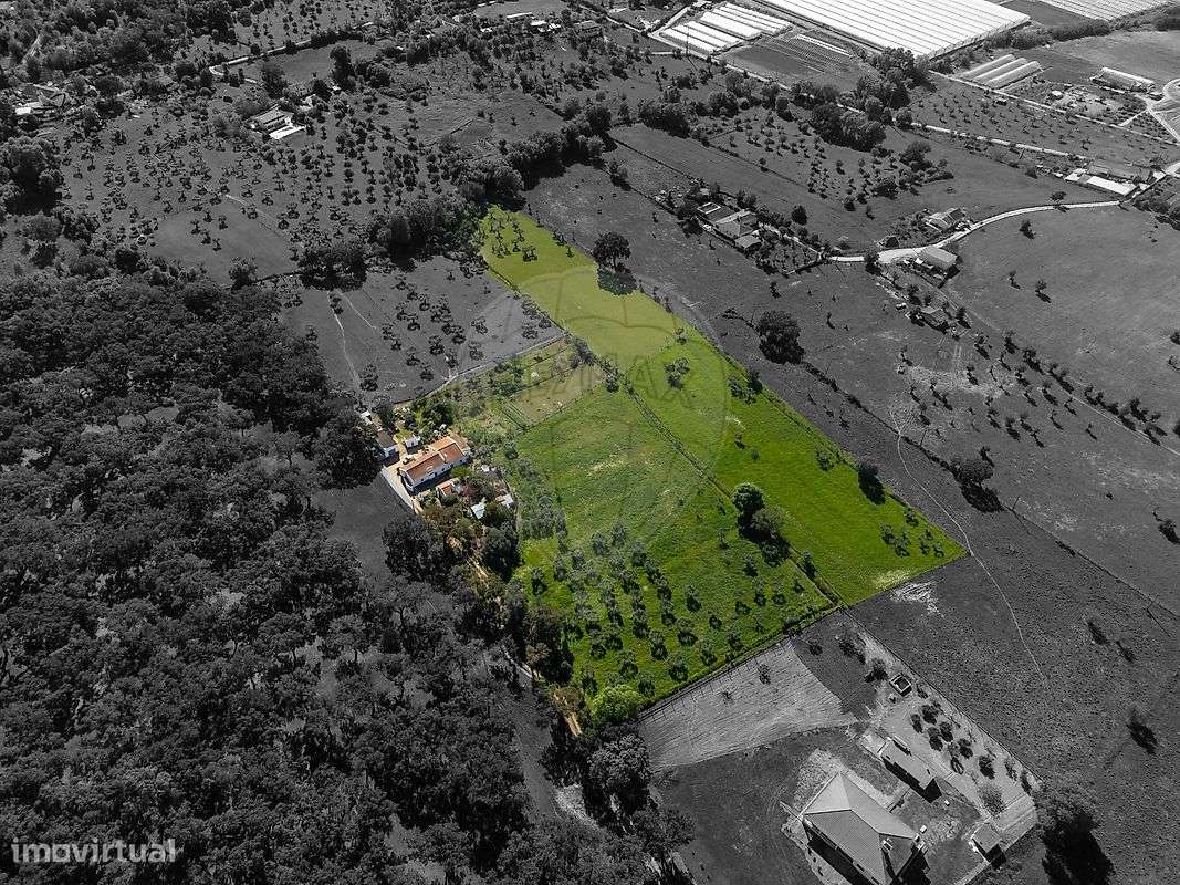 Quinta T6 para venda-6