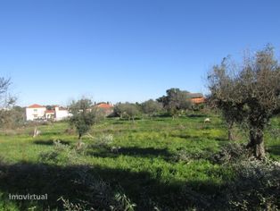 Lote de Terreno - Grande imagem: 4/31