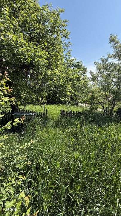Teren cu parau si casa batraneasca, 25 min de Cluj, zona Boju/Cojocna-1