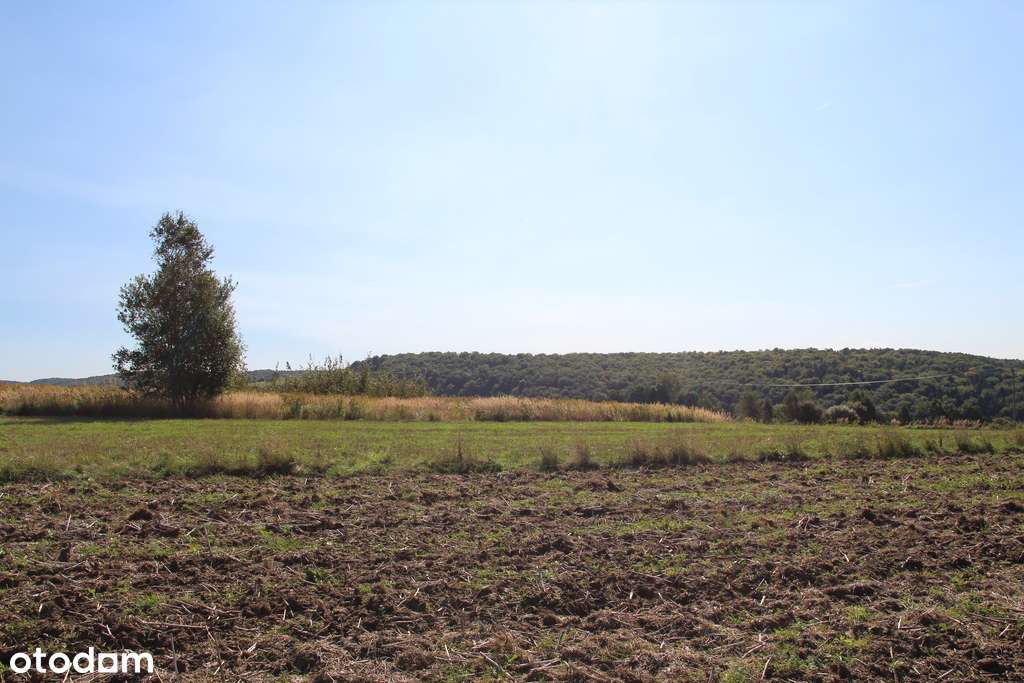 Działka budowlano - rolna przy Parku Ojcowskim-10