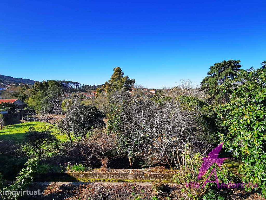 Encanto Rural: Casa em Pedra com Adega e Acesso ao Rio - Grande imagem: 4/36