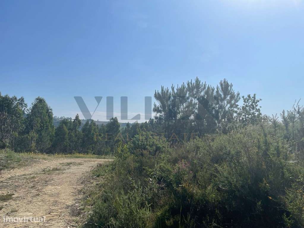 Terreno para construção em Fradelos - Vila Nova de Famalicão - Grande imagem: 3/11