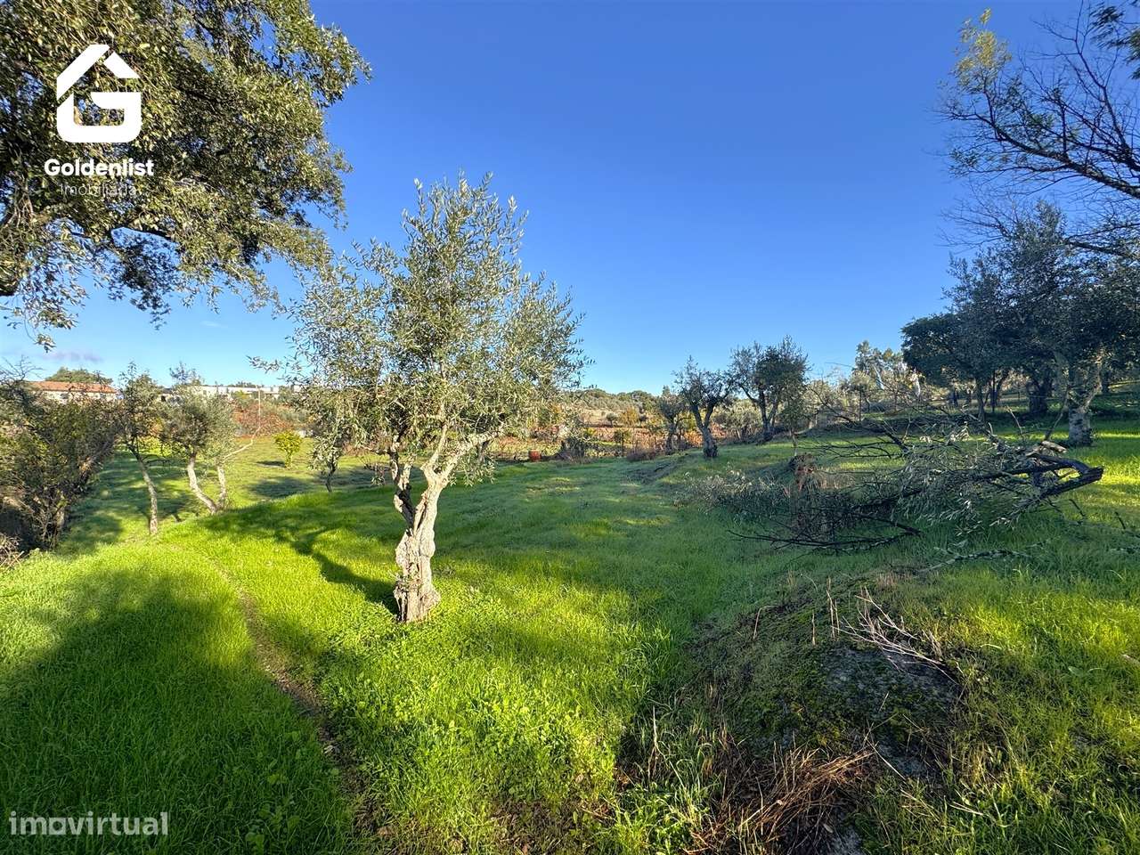 Quinta T3 Venda em Escalos de Cima e Lousa,Castelo Branco-46