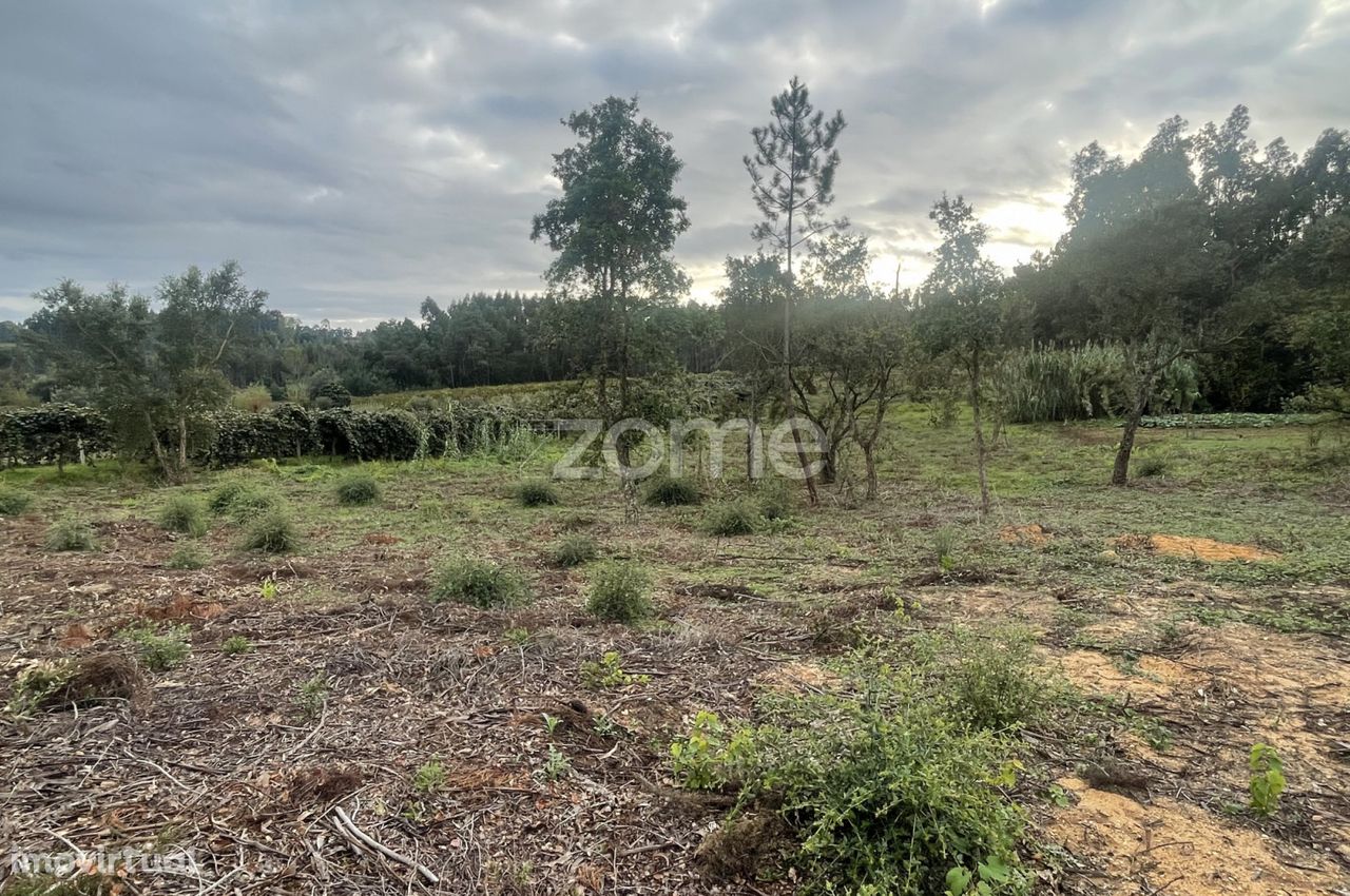 Terreno | Urbanizável |em Samel, Vilarinho do Bairro