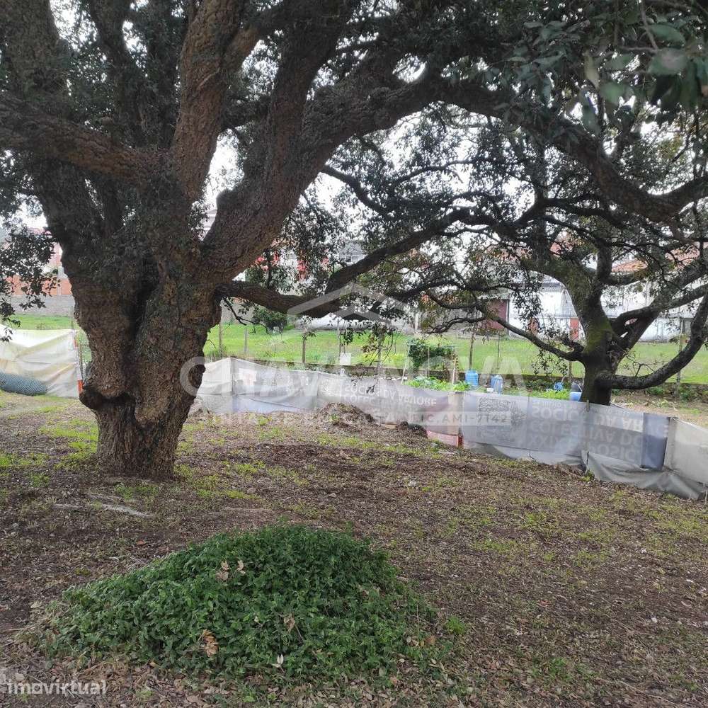 Lote c/Projeto Aprovado p/ 5 Moradias em Canelas - Grande imagem: 5/7