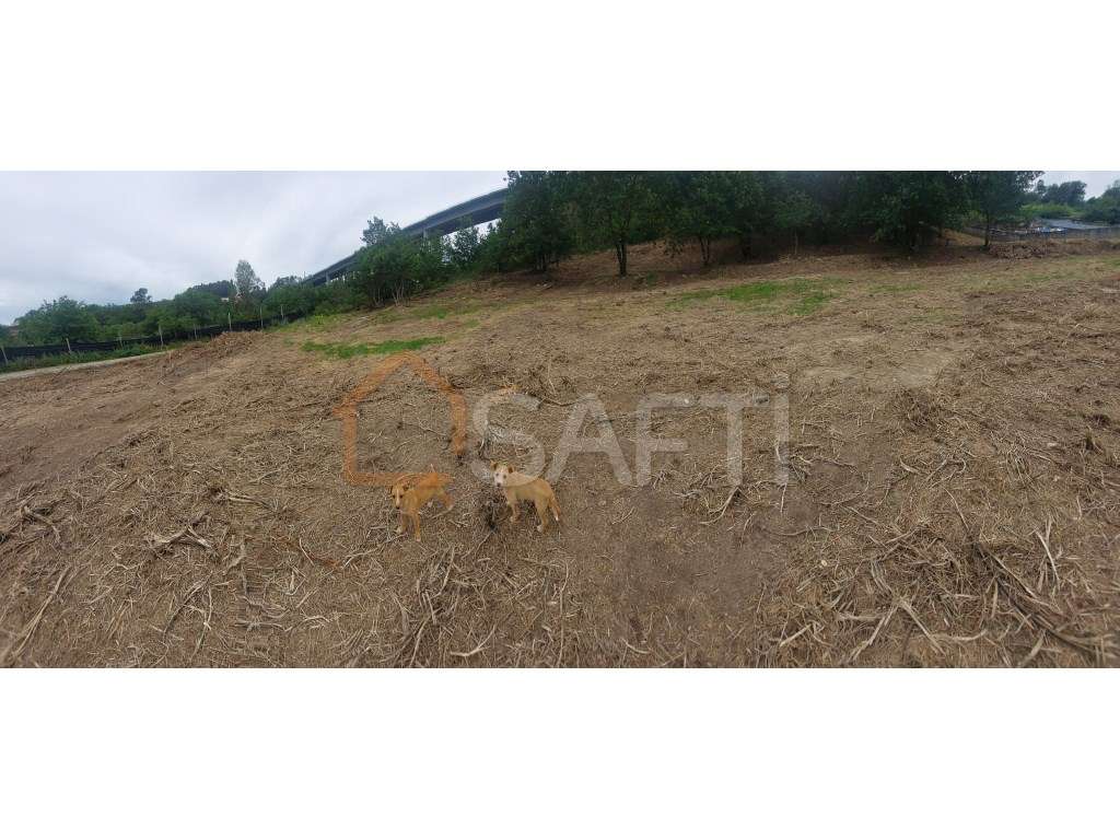 Terreno construtivo - Grande imagem: 5/11