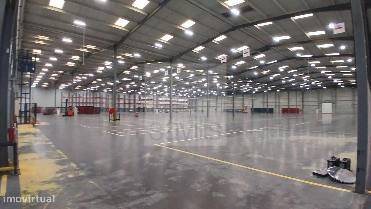 Armazém | Azambuja 5 - Grande imagem: 3/22