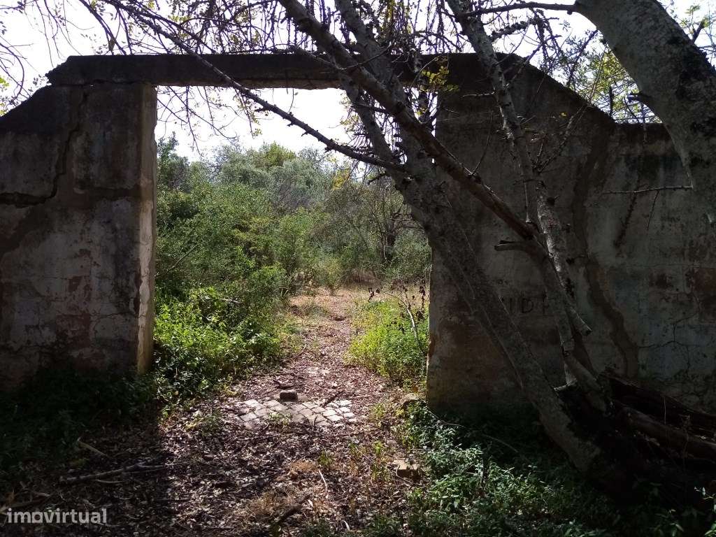 Terreno Rustico com 11 136m2, Loulé, Algarve - Grande imagem: 2/18