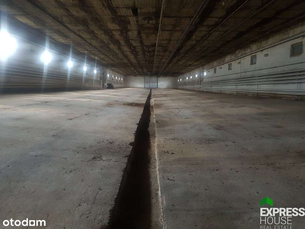 Hale gospodarcze w doskonałej lokalizacji przy S3 - Pełny obrazek: 5/8