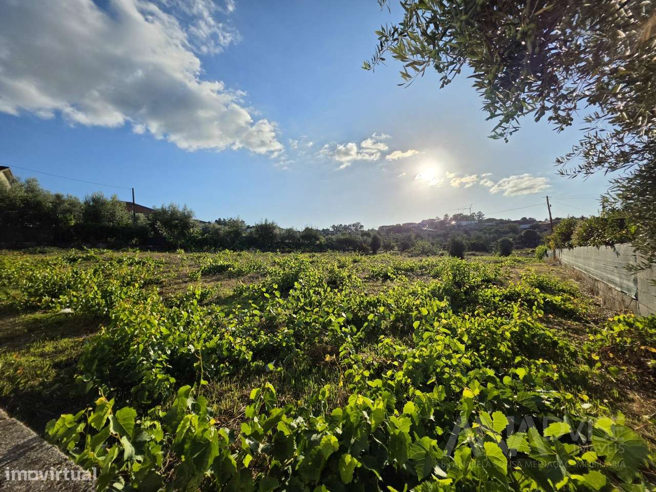 Terreno Urbano  Venda em São João de Lourosa,Viseu-10