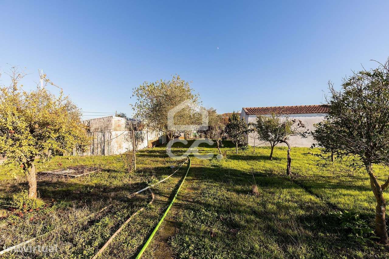 Terreno de  1.350 m² c/ Anexo de Apoio Agrícola | Canaviais, Évora-19