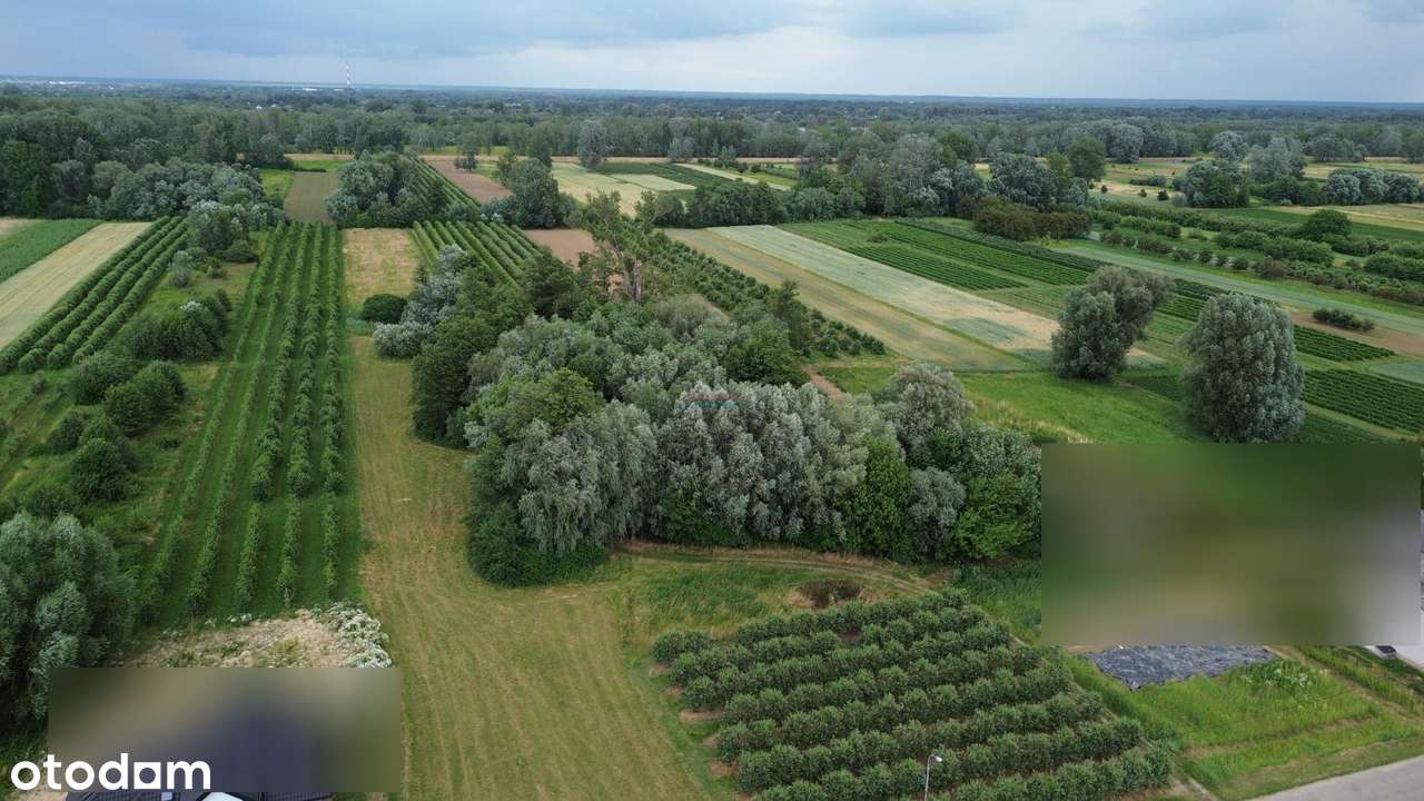 Działka, 44100.0 m², Dębówka - Pełny obrazek: 5/5