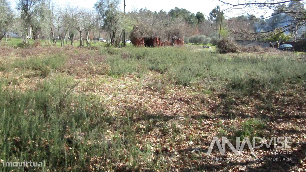 Lote de Terreno  Venda em Barreiros e Cepões,Viseu - Grande imagem: 1/9