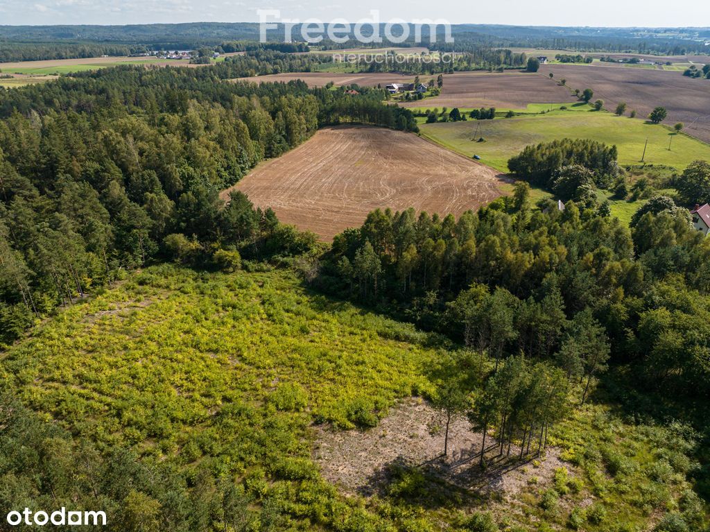 Duża działka siedliskowa - las, jeziora i Kaszuby!