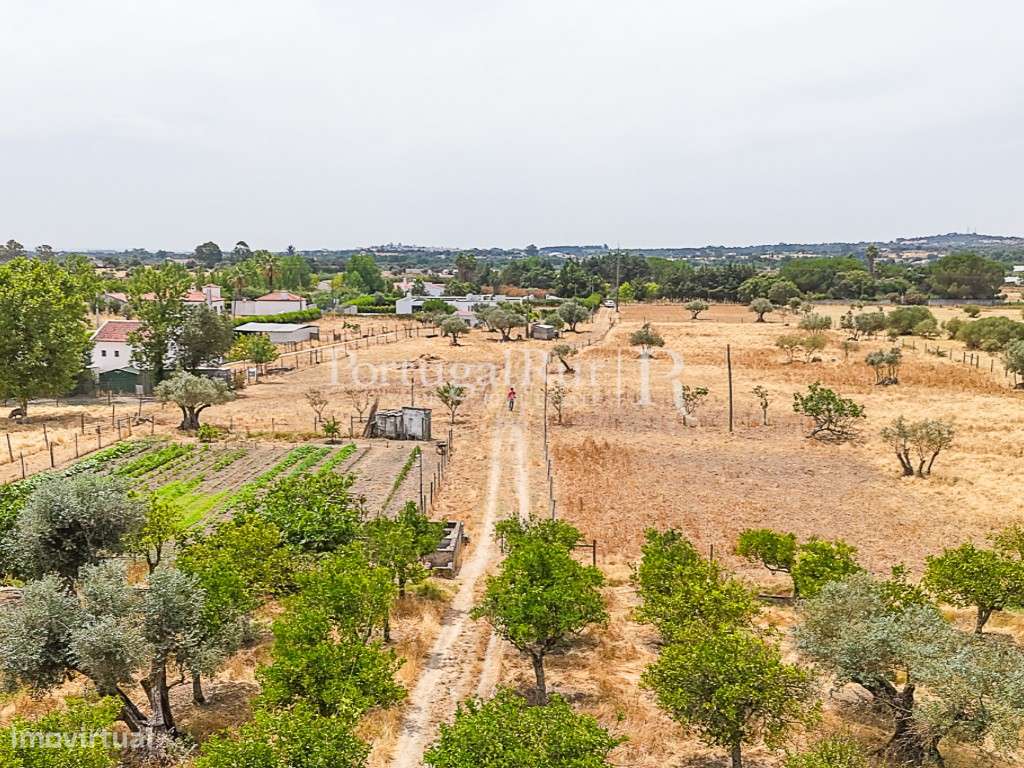 Encantadora quintinha alentejana-5