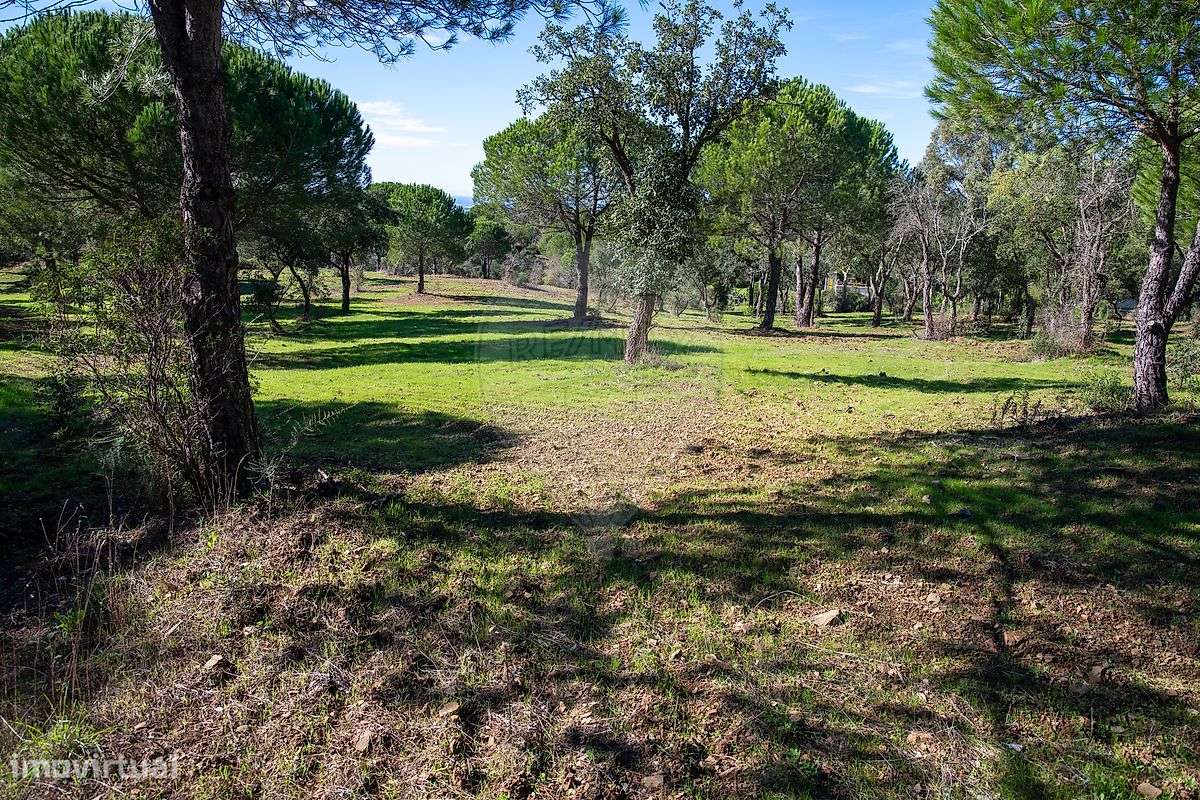 Terreno  para venda - Grande imagem: 5/13