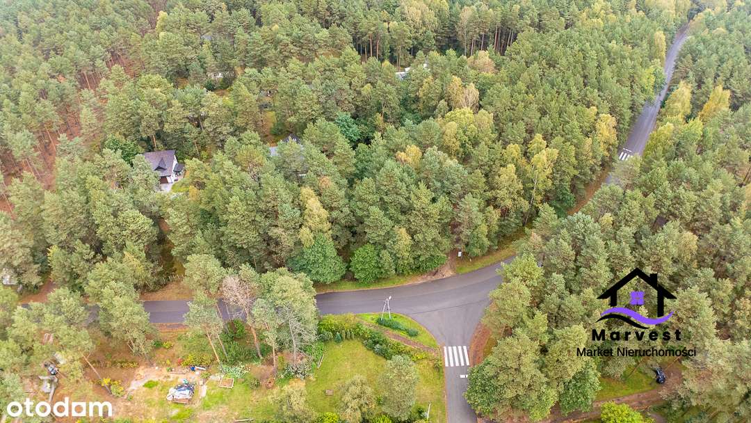 Dzierżno koło Poraja | Działka budowlana w leśnym otoczeniu - Pełny obrazek: 5/5
