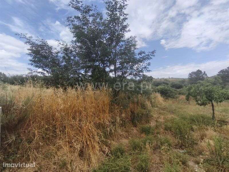 Terreno Rústico / Fundão, Silvares - Grande imagem: 2/5