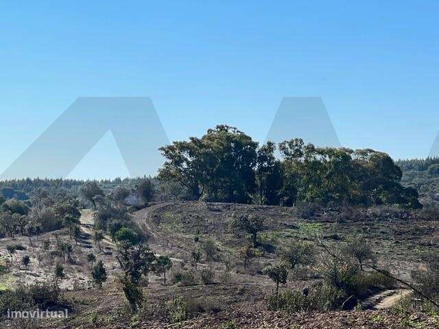 Herdade 60ha em Grândola — PIP de 2021 (actualmente caducado) para con - Grande imagem: 5/13