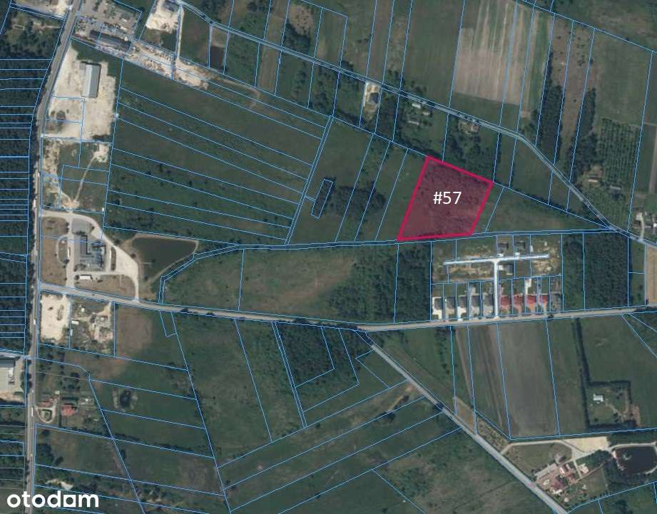 Sprzedam działki 17.18 ha, Elżbiecin, blisko drogi Busko-Kielce 73 - Pełny obrazek: 4/6