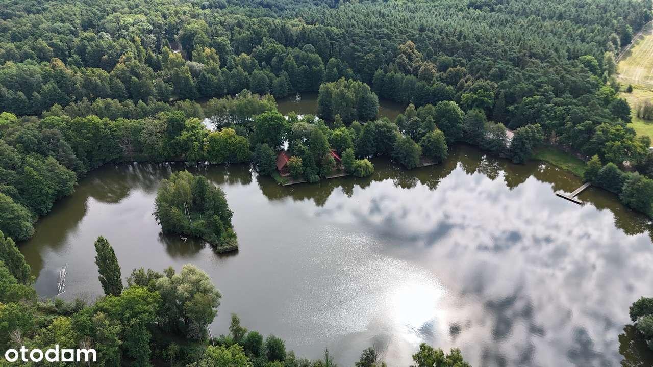 Kompleks działek rekreacyjnych w środku lasu | od 500 m2-11