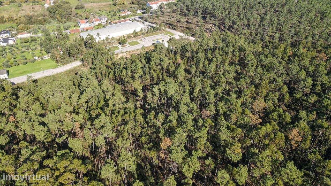 Terreno Rústico localizado na periferia de Ourém! - Grande imagem: 5/11