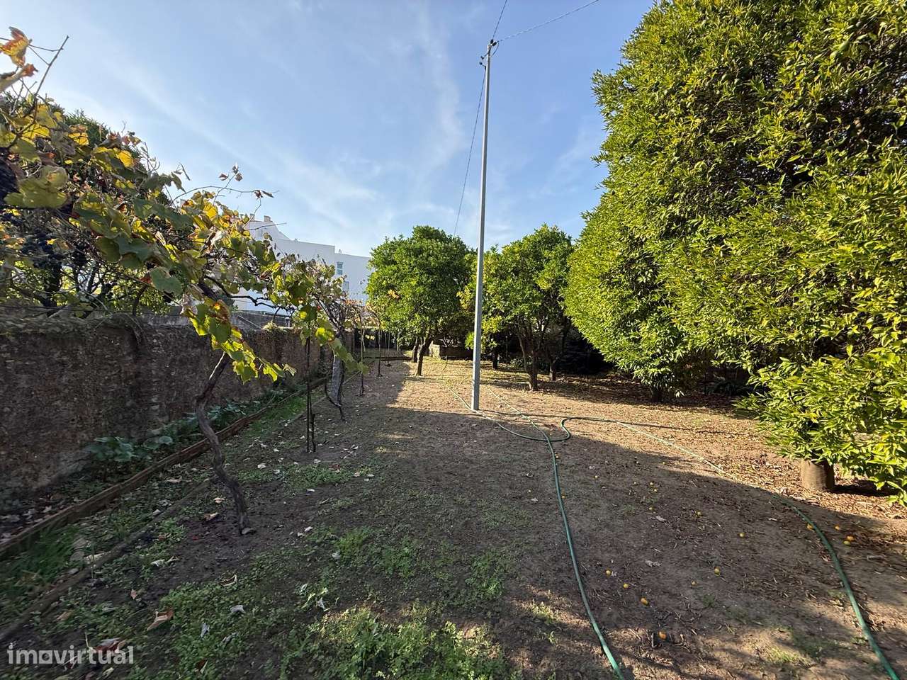 Moradia T4 no Centro de Ovar-48