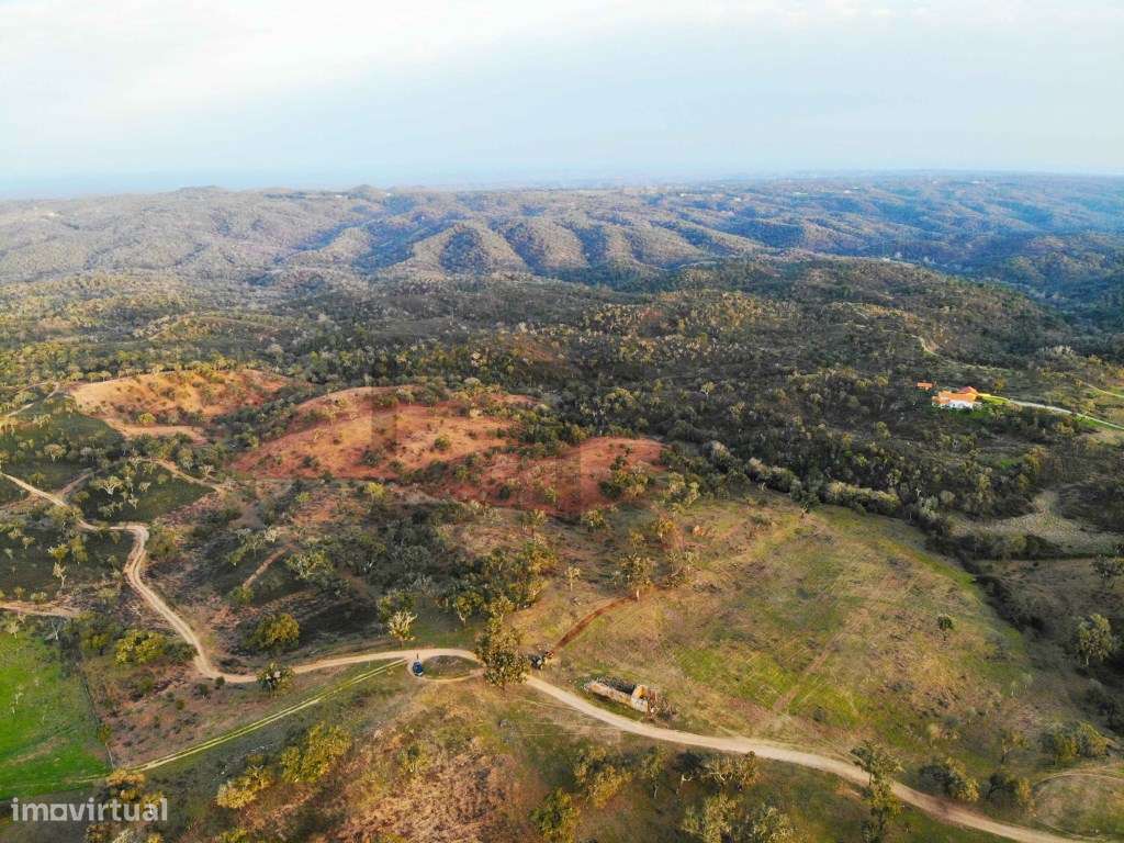 Terreno para Venda com 34 Hectares com Ruina na Serra de Grândola /... - Grande imagem: 2/22